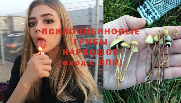 амфетамин Богородск