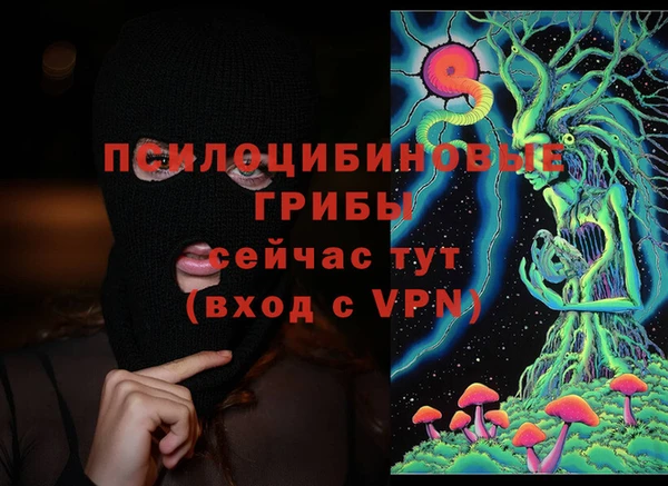 экстази Богородицк